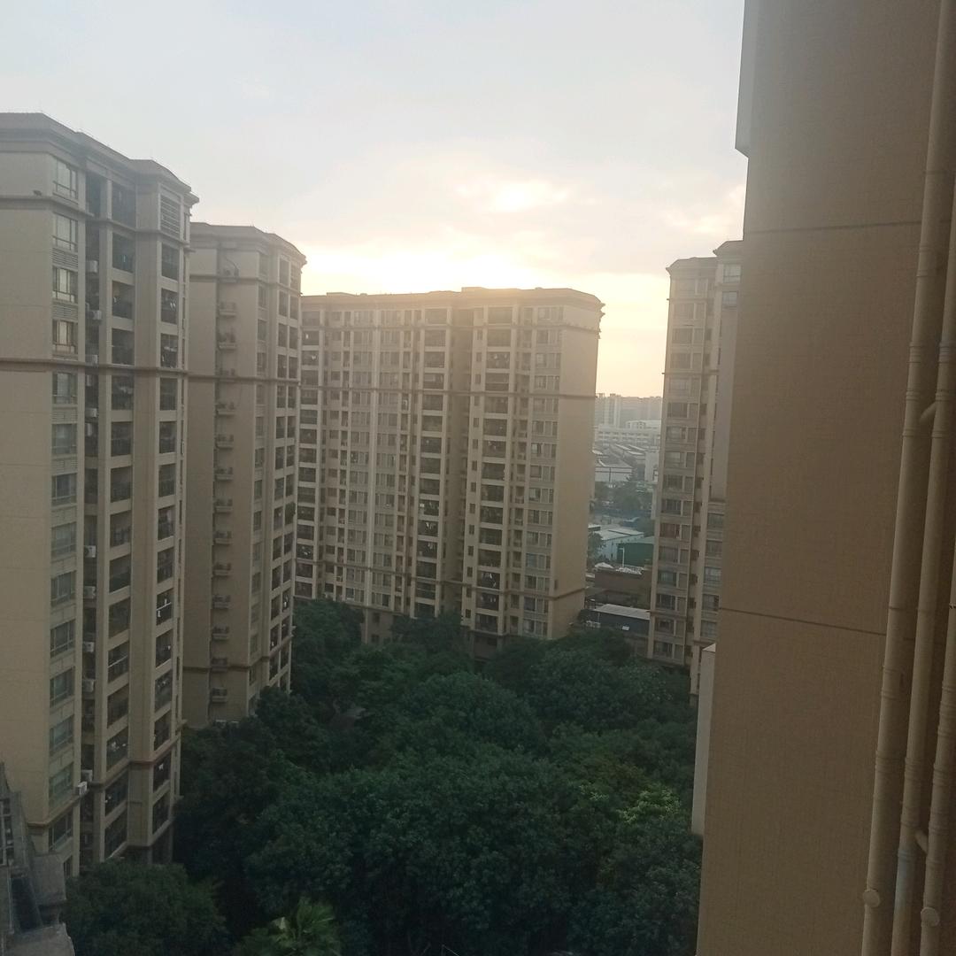 339哥