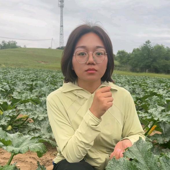 果老六焦老师讲西葫芦