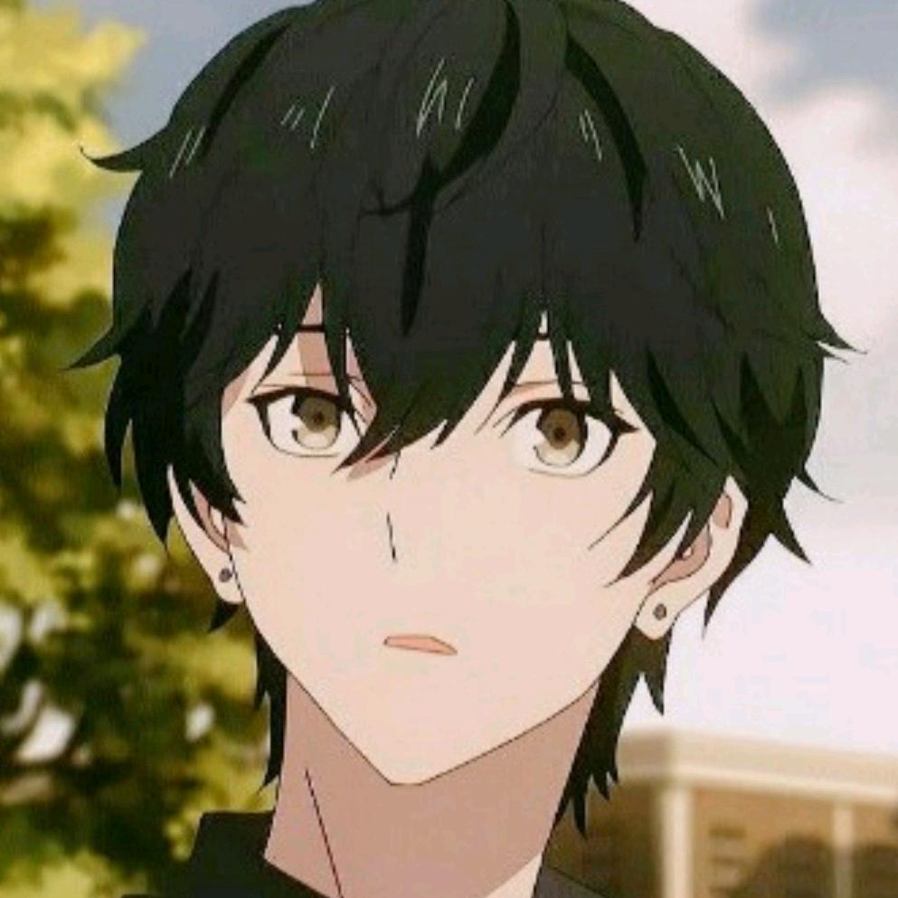 夏有桉