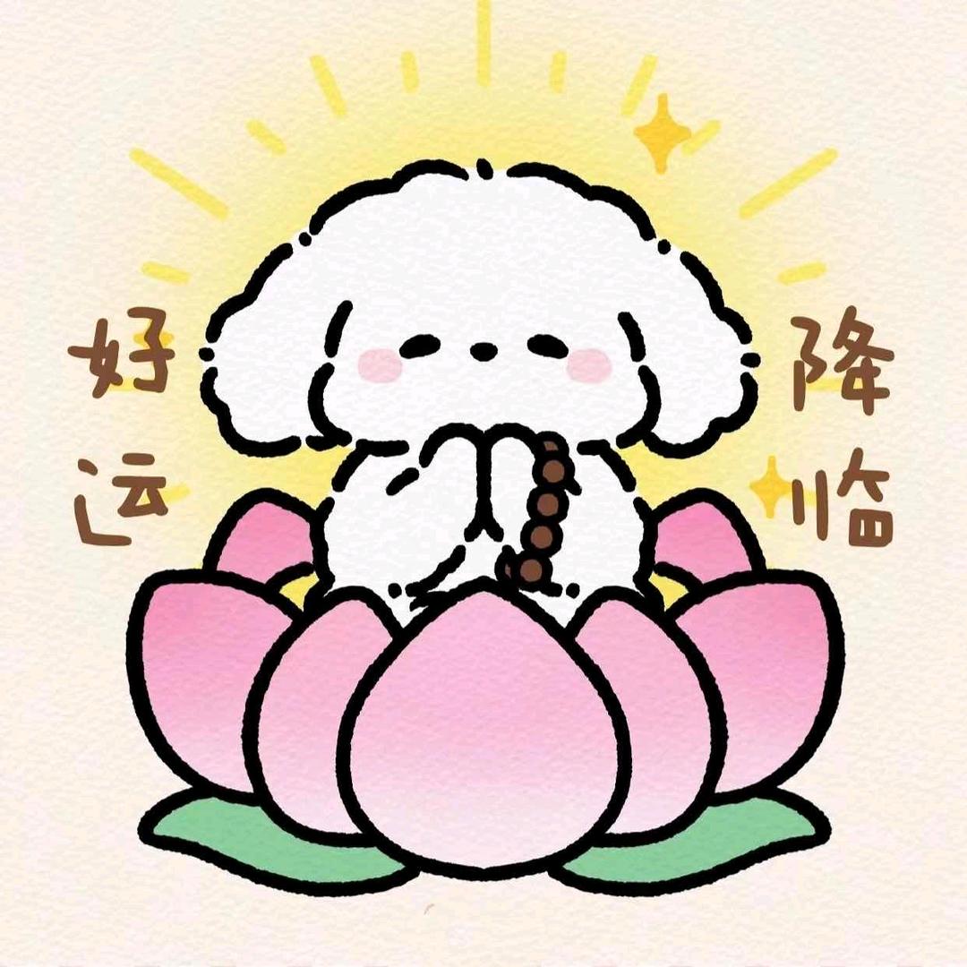 富星星好物