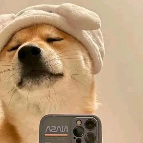 守约尽头