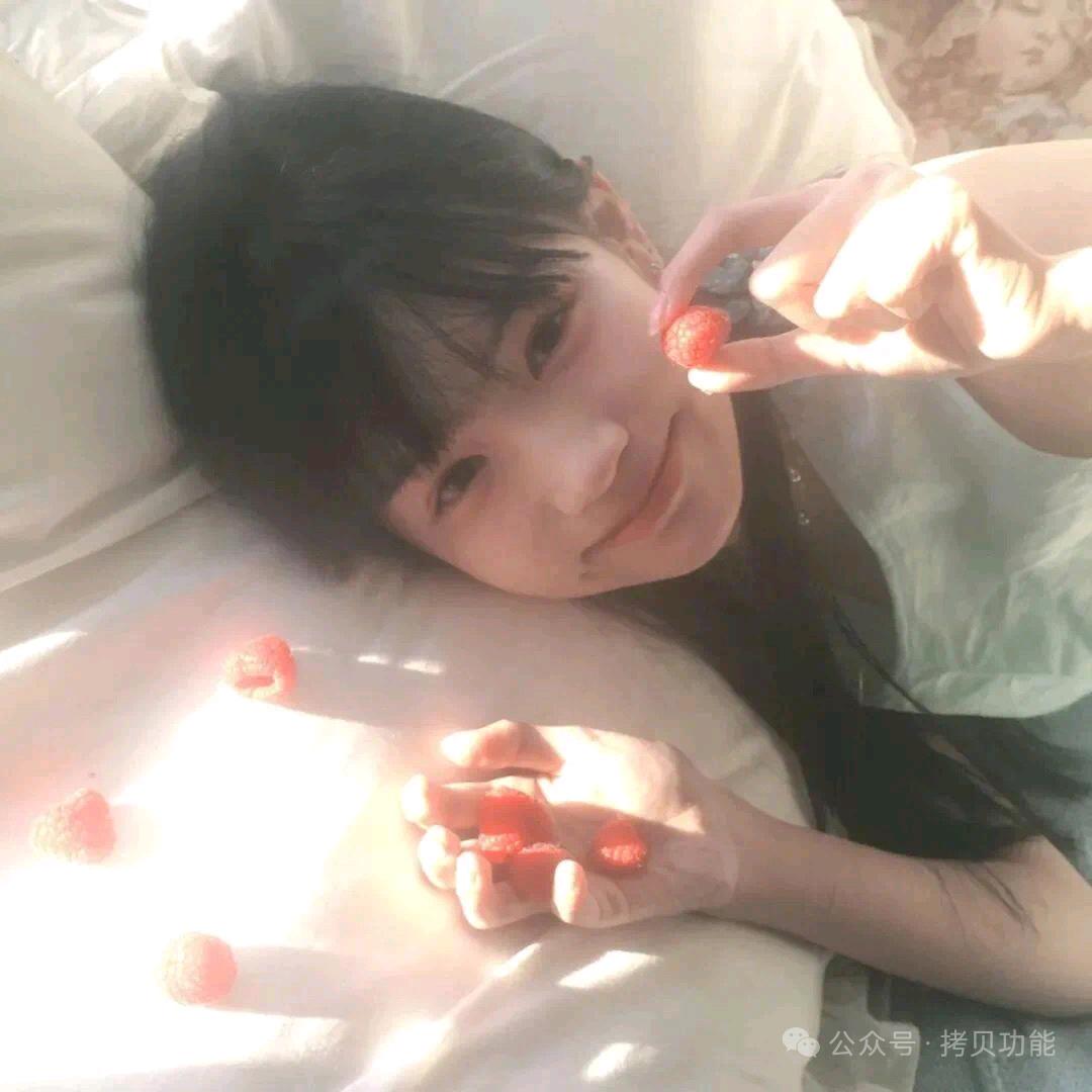 西北玫瑰小甜豆