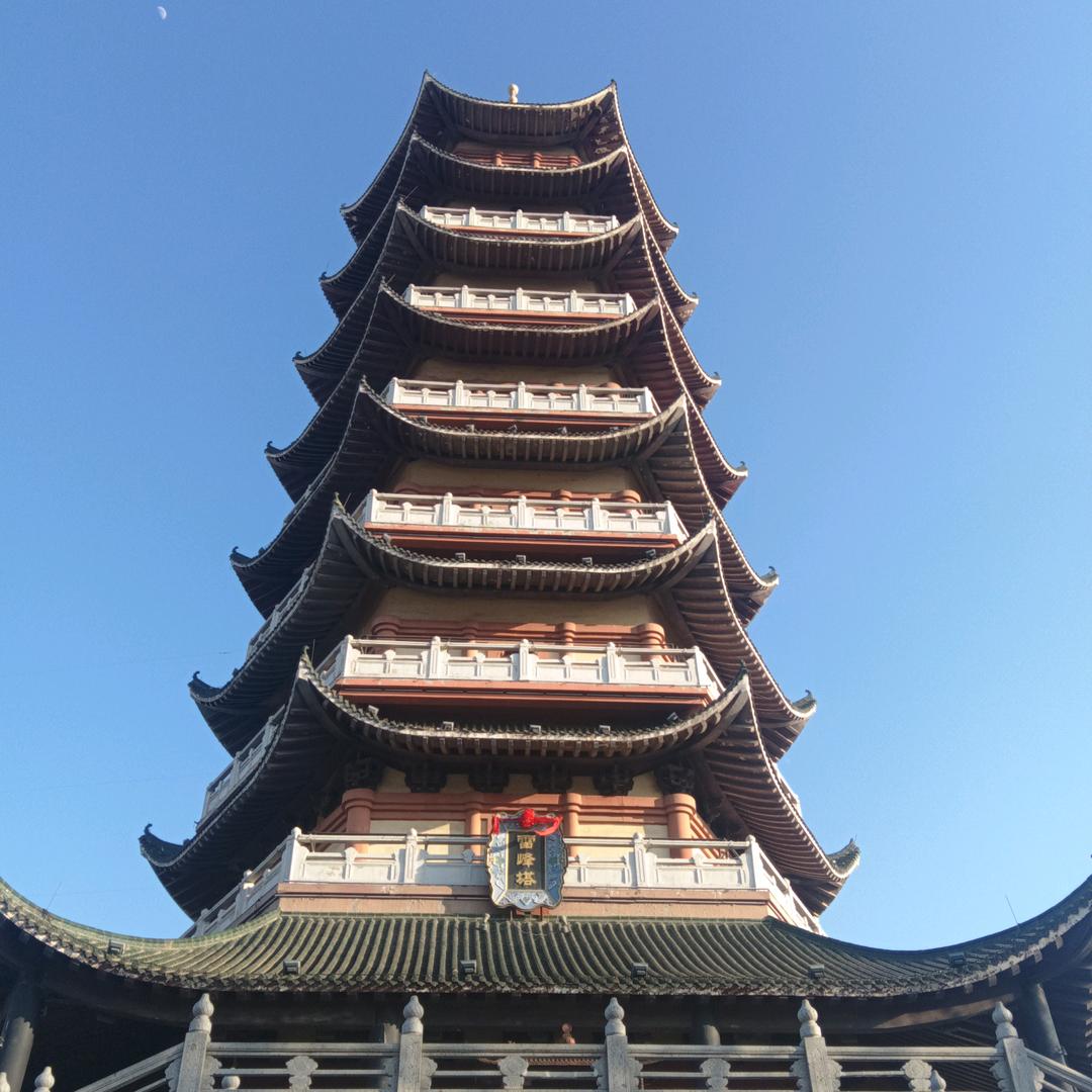 邀约同缩 青山深处