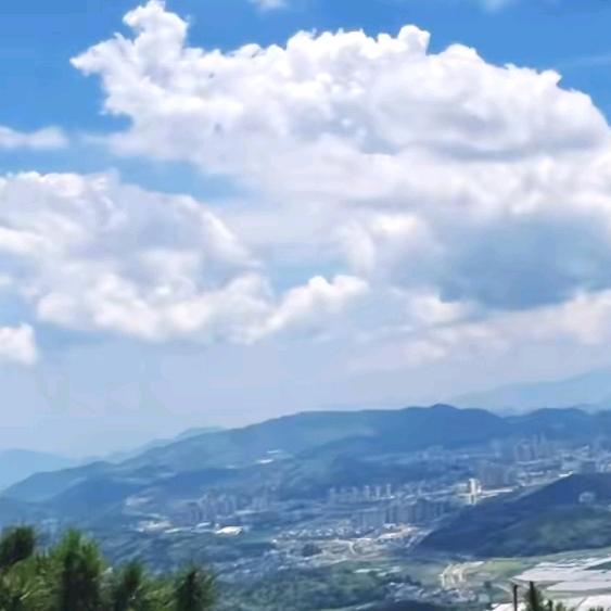 傻丫头，
