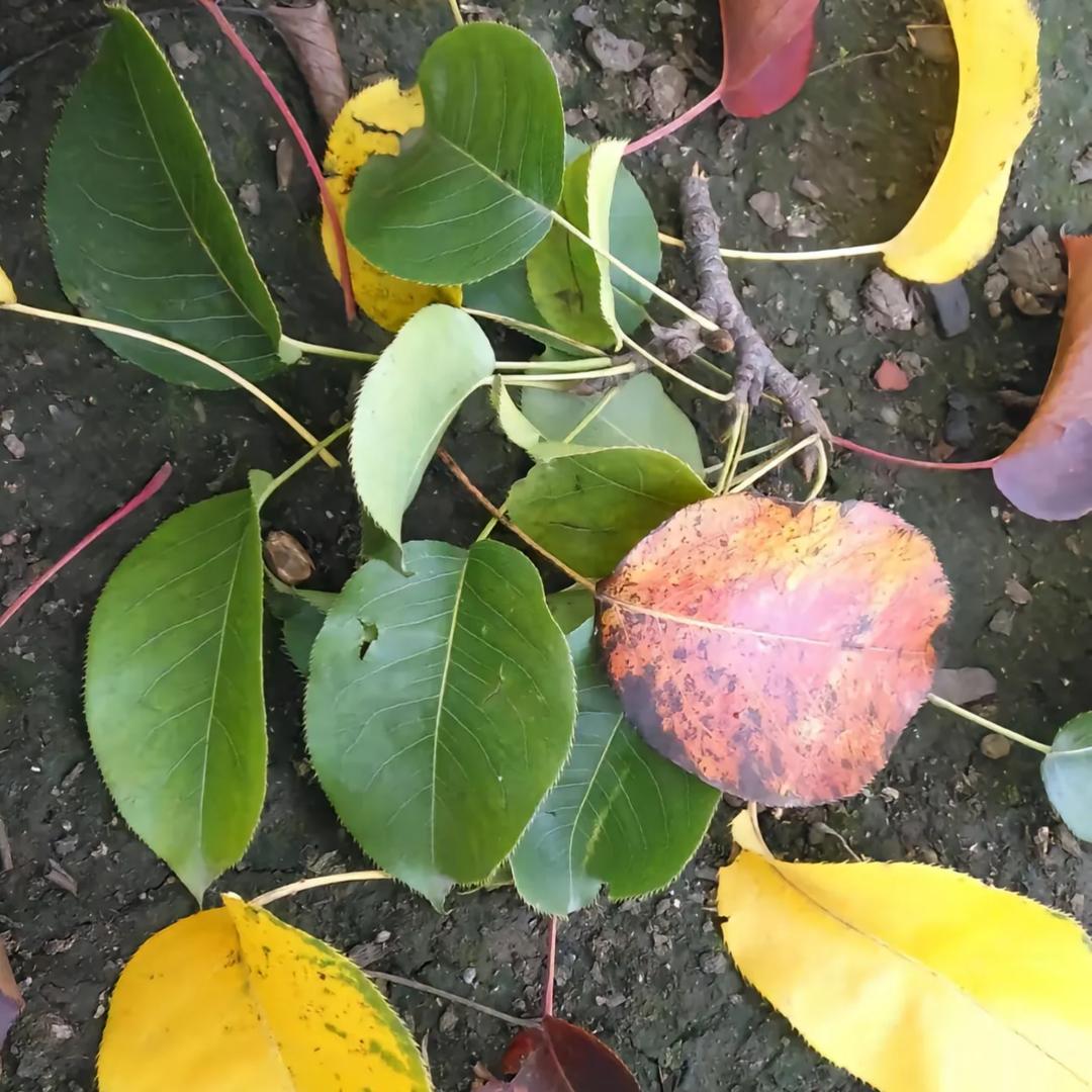 ℳ空等ঞᩚ一ঞৣ人᭄