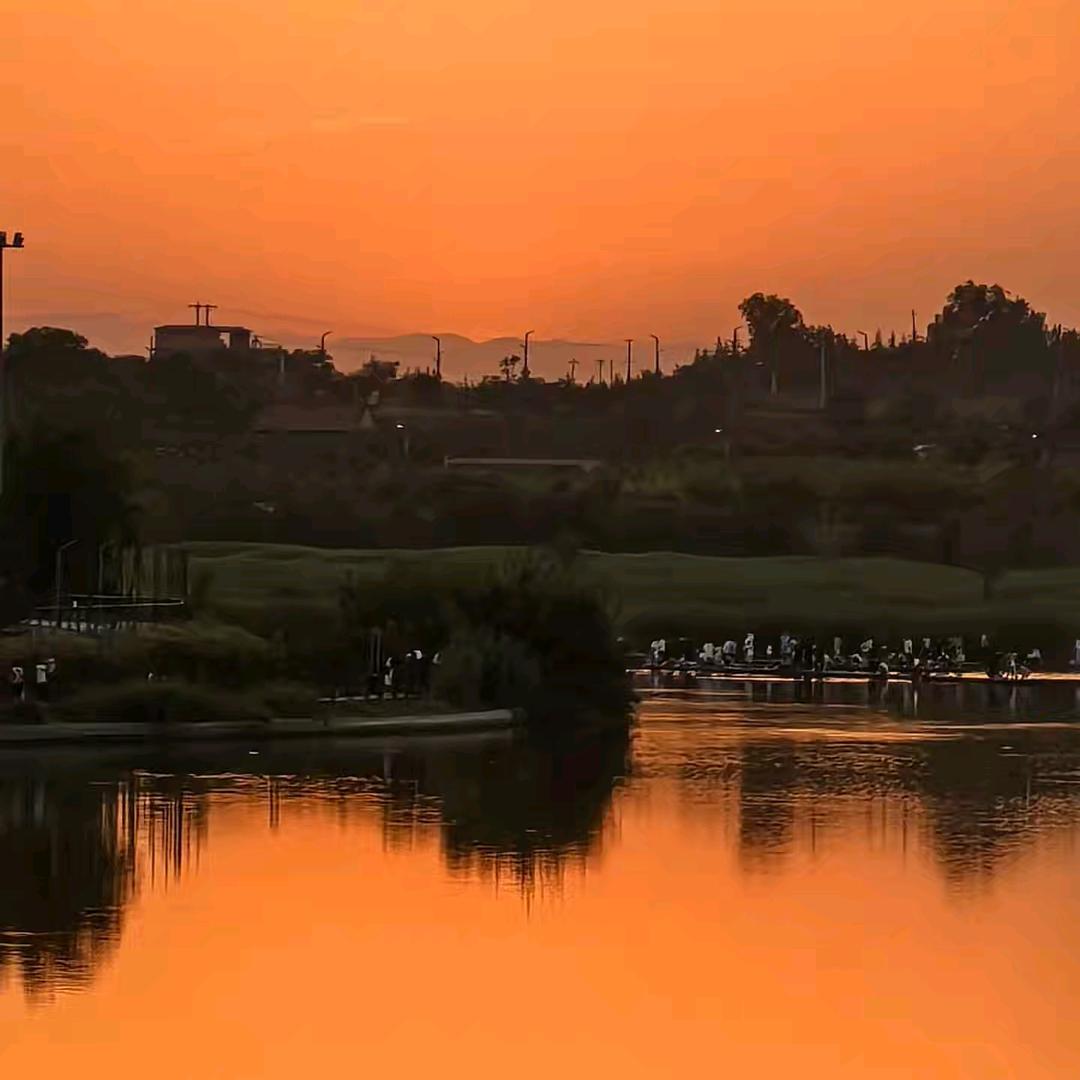 🥀⃟请叫我林姐ᭁ