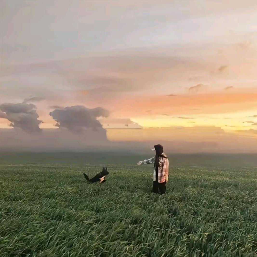 清风拂杨柳