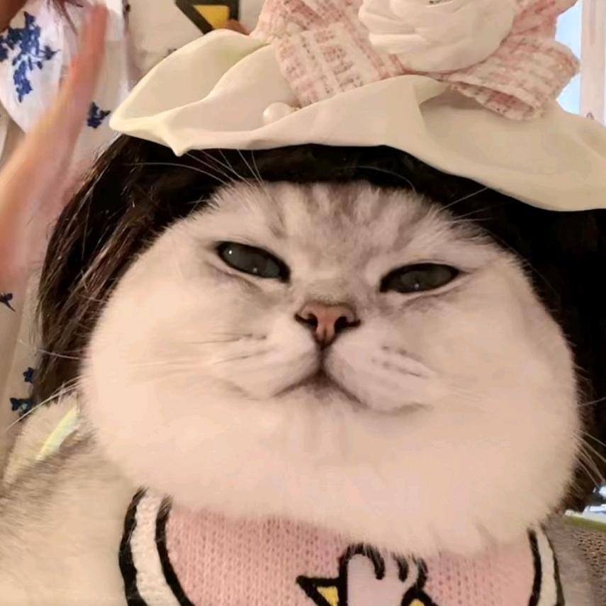 竹门就是竹门，木门就是木门