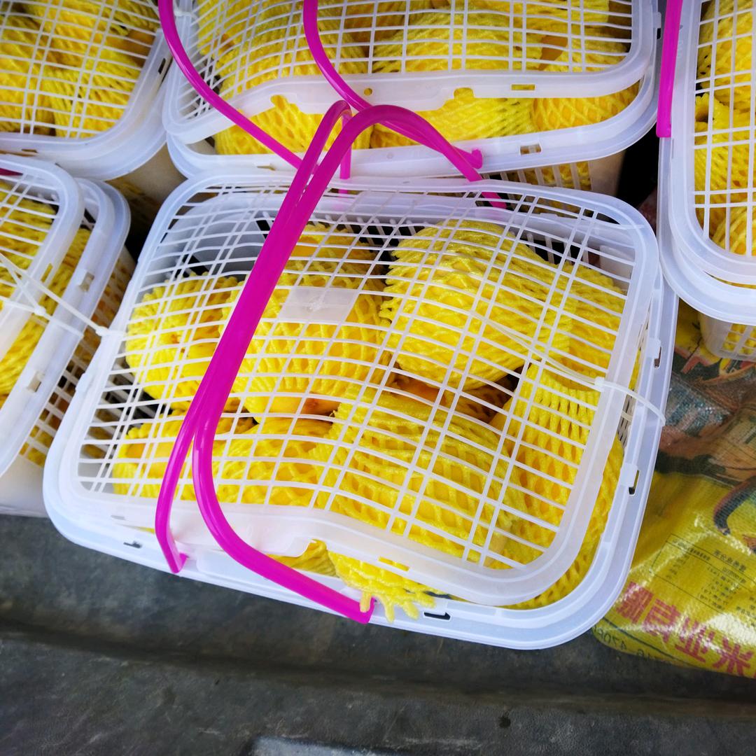 北山黄桃土峰蜜出售631422