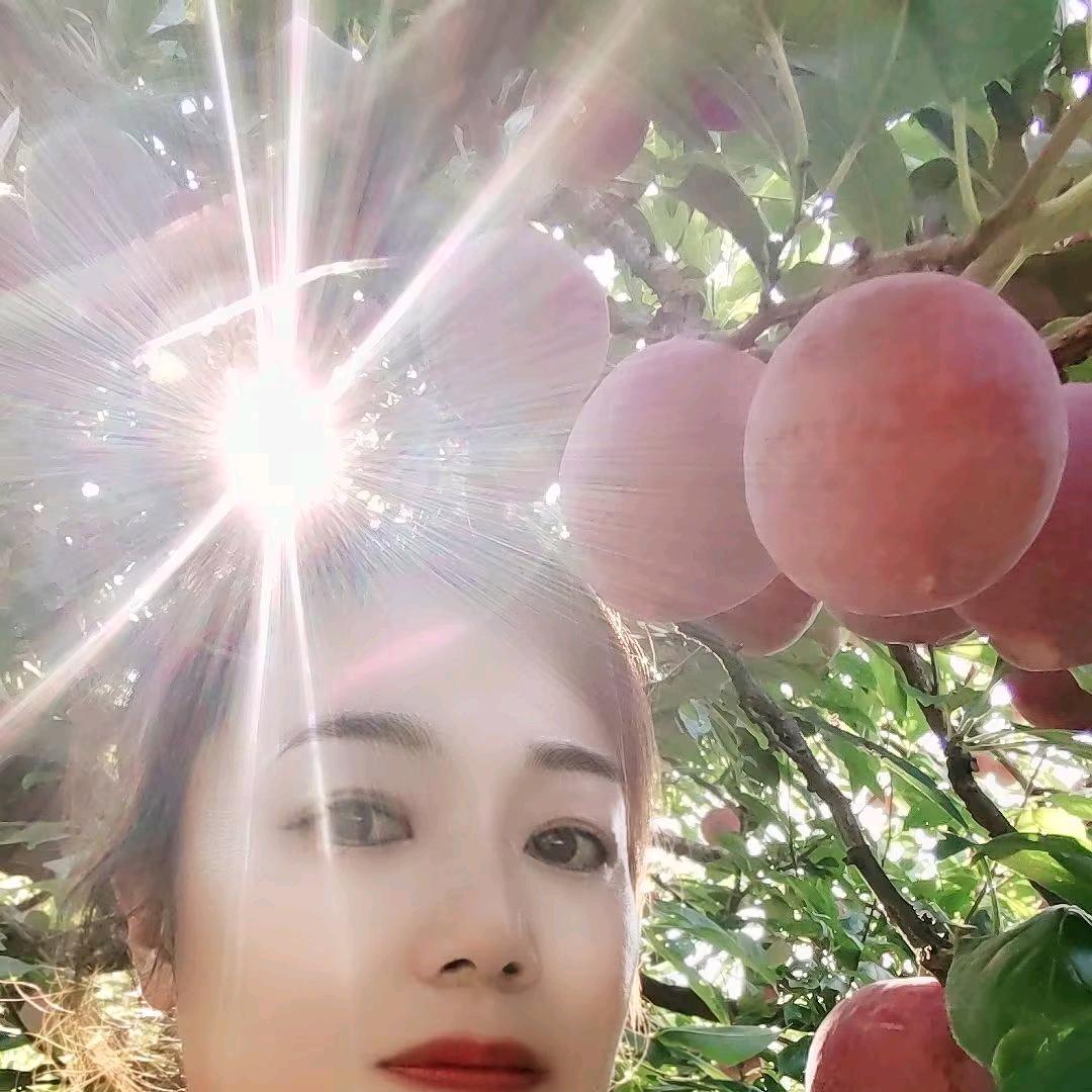 蓝姐