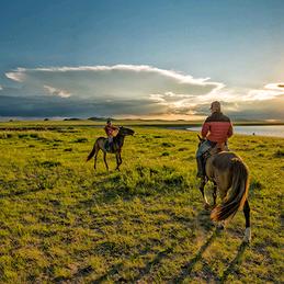 稻城县~追风马场