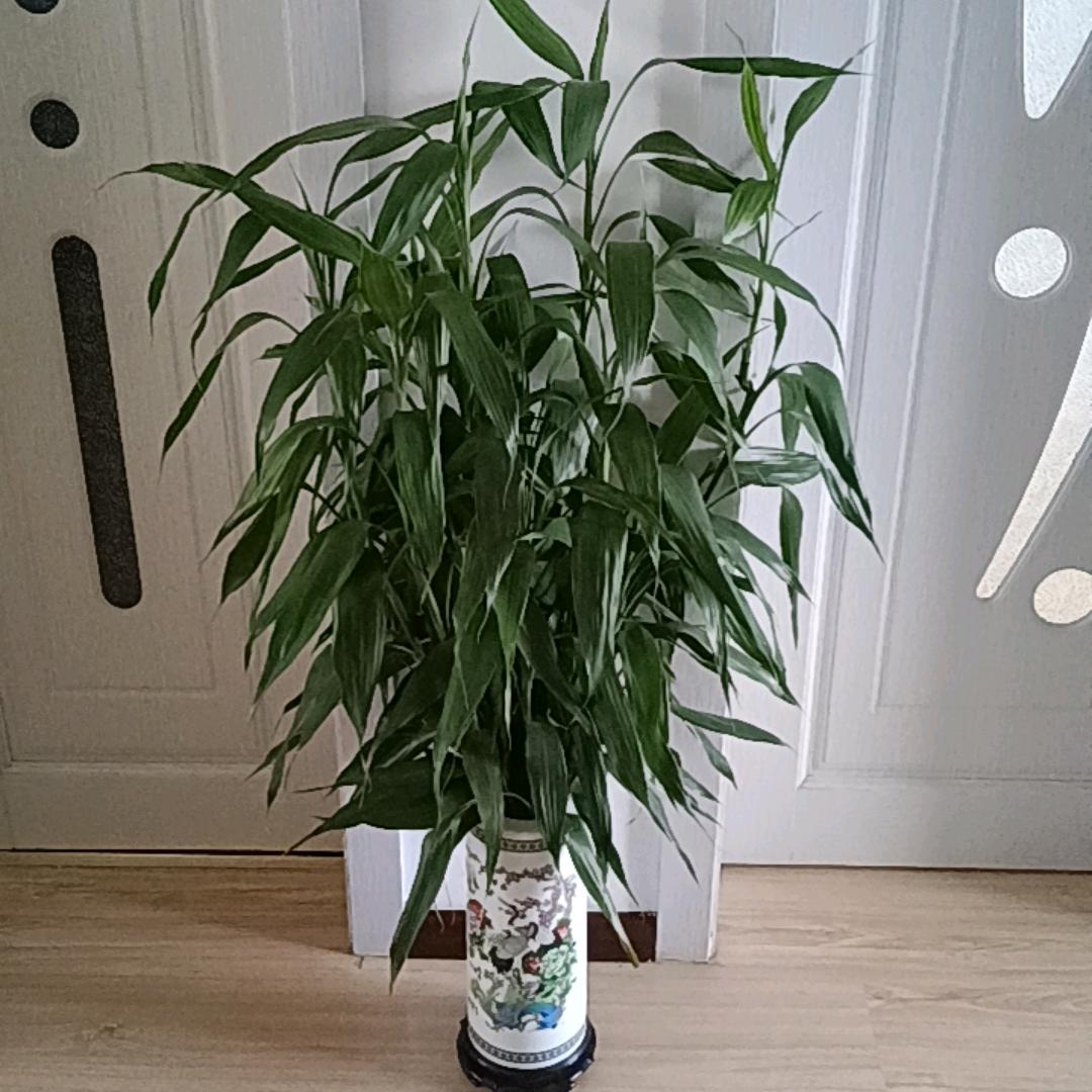 【冬雨】呼伦贝尔市