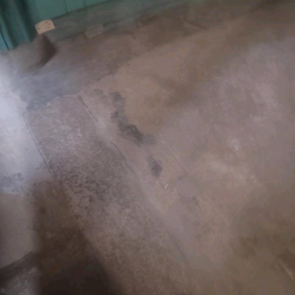 人类
