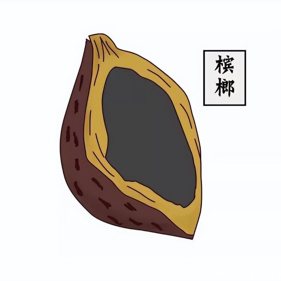 榔大人说槟榔
