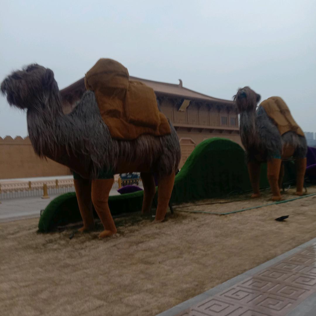 人生不易，好好珍惜