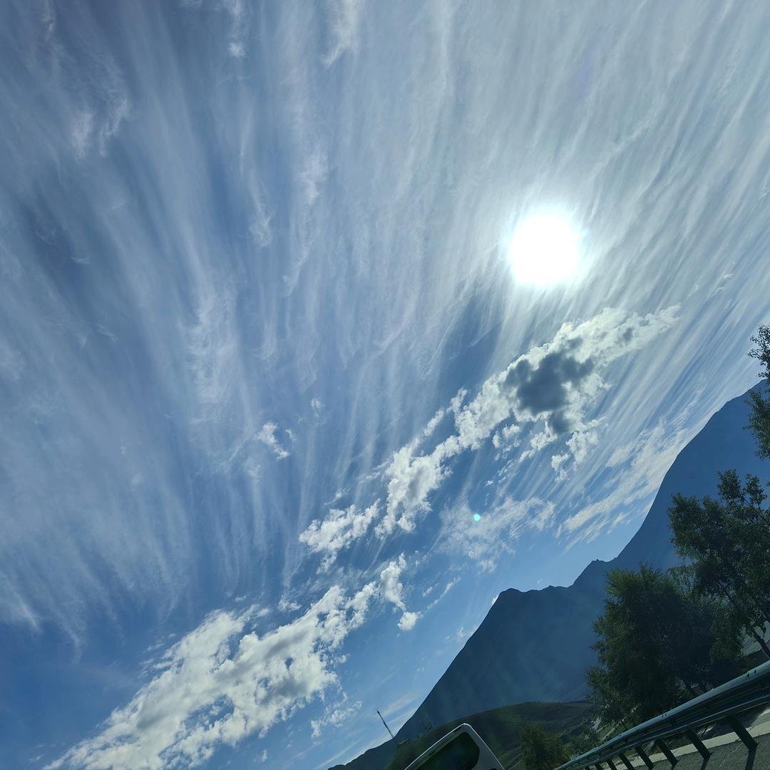 林叶头像