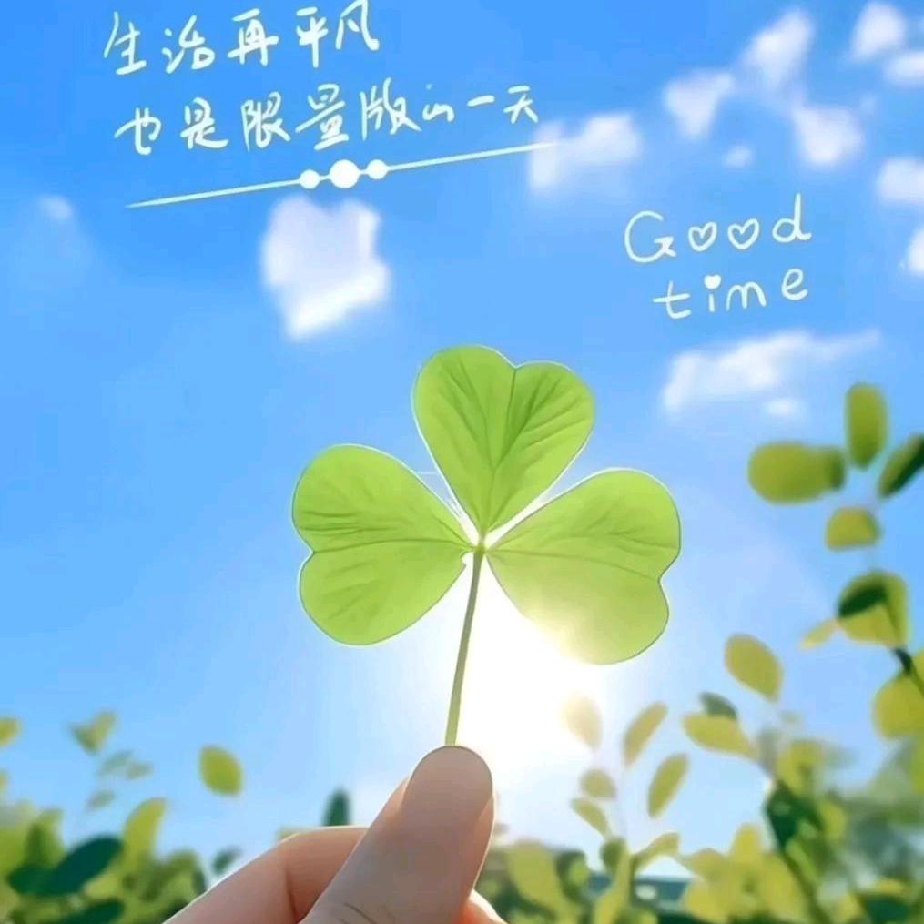 兰澜
