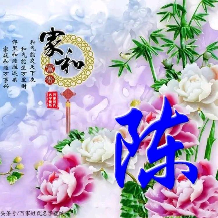 AA骑驴上高速