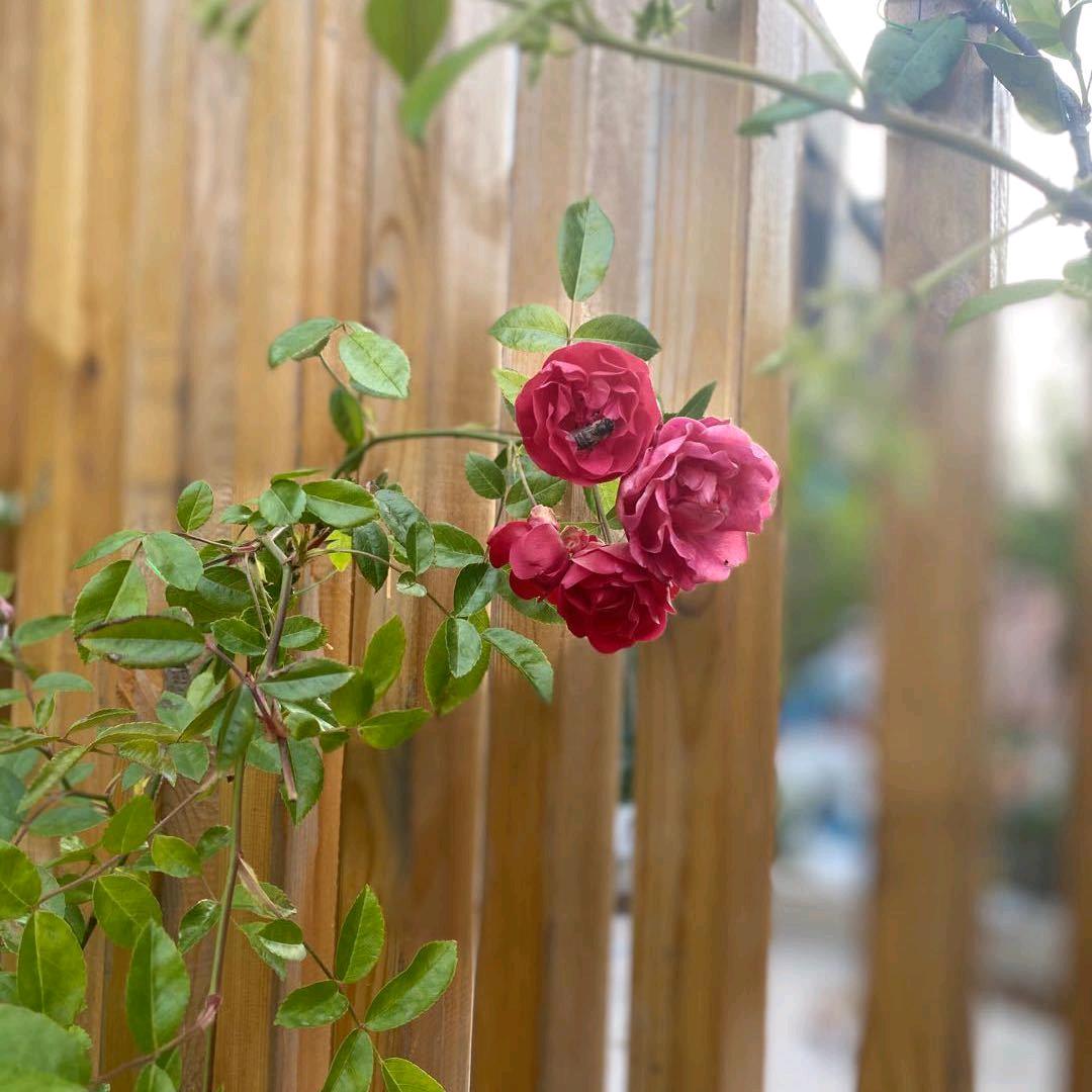 相亲相爱一家人