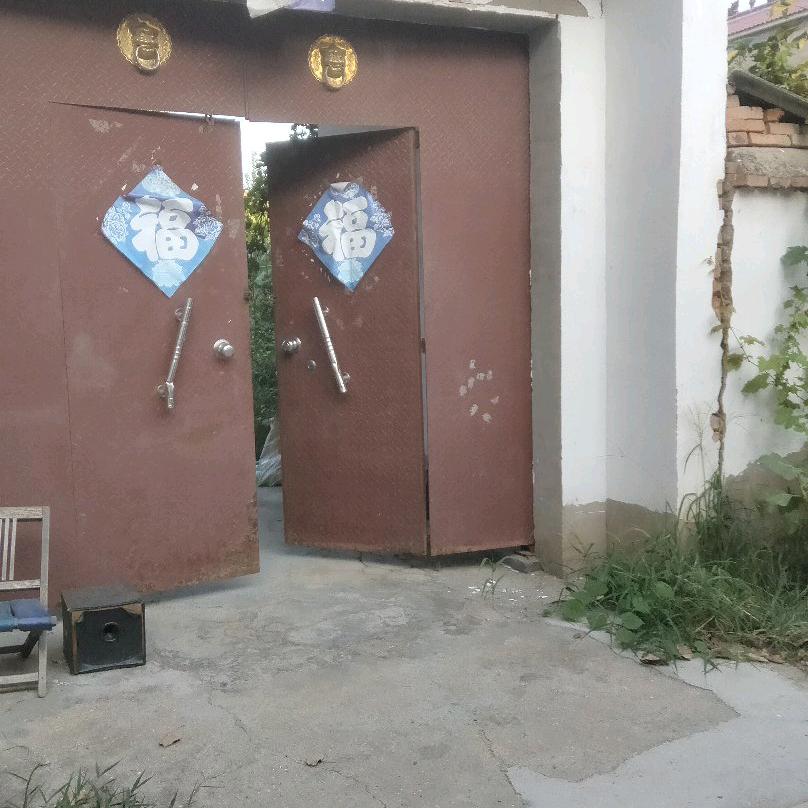 新情