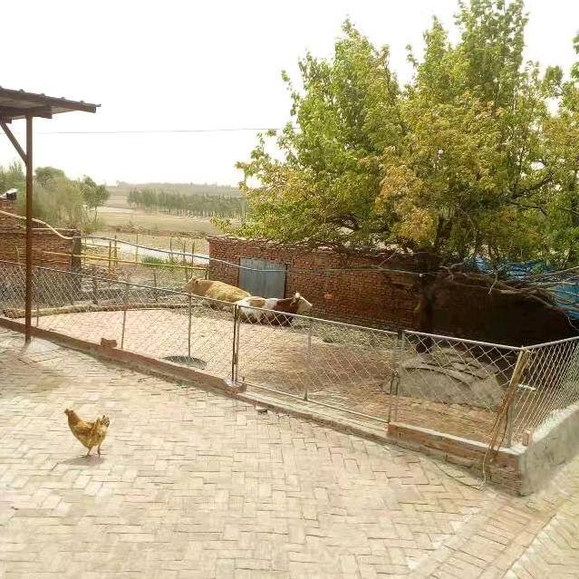 yongheng944467