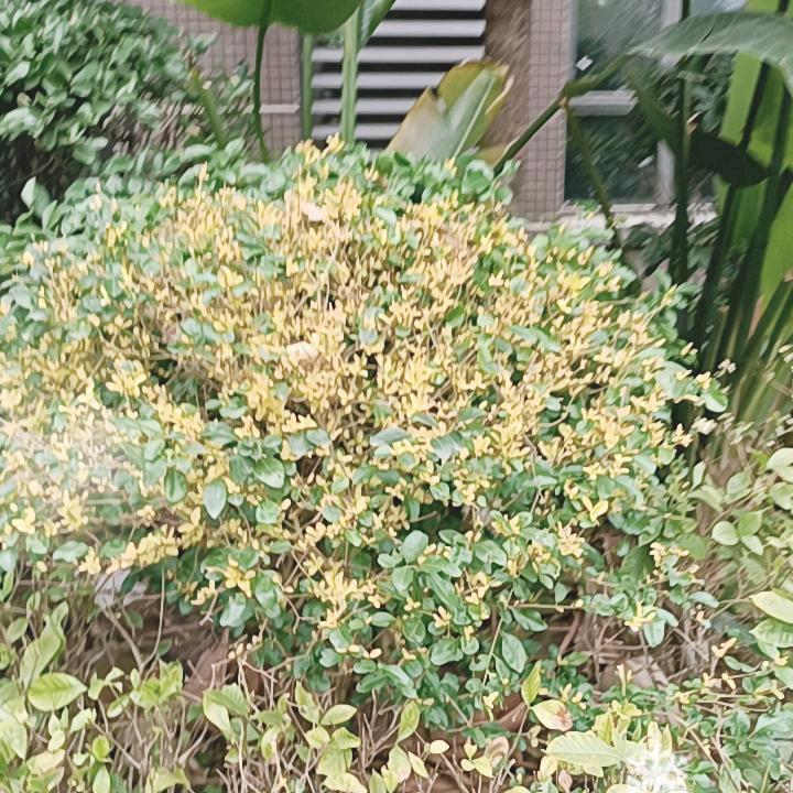 习惯没依赖