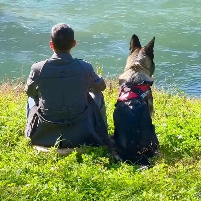 养狗的王先森（批发狗笼和狗粮）