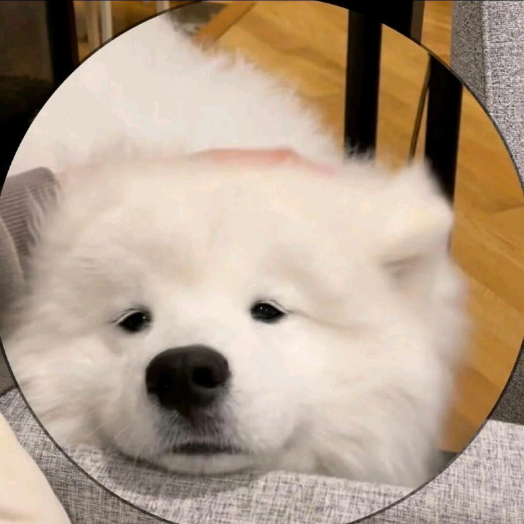 香菜公主