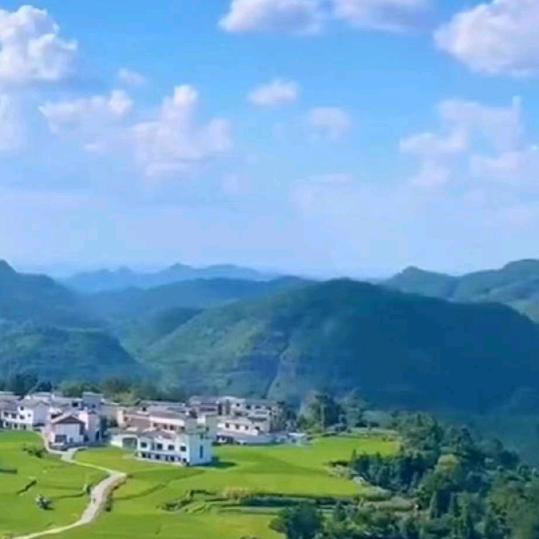 述有