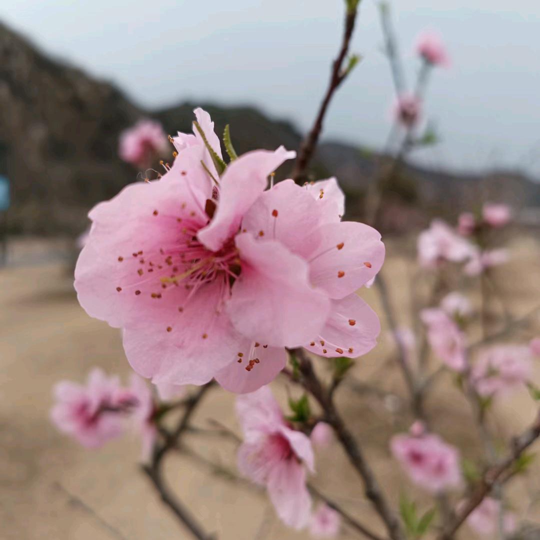 当断则断