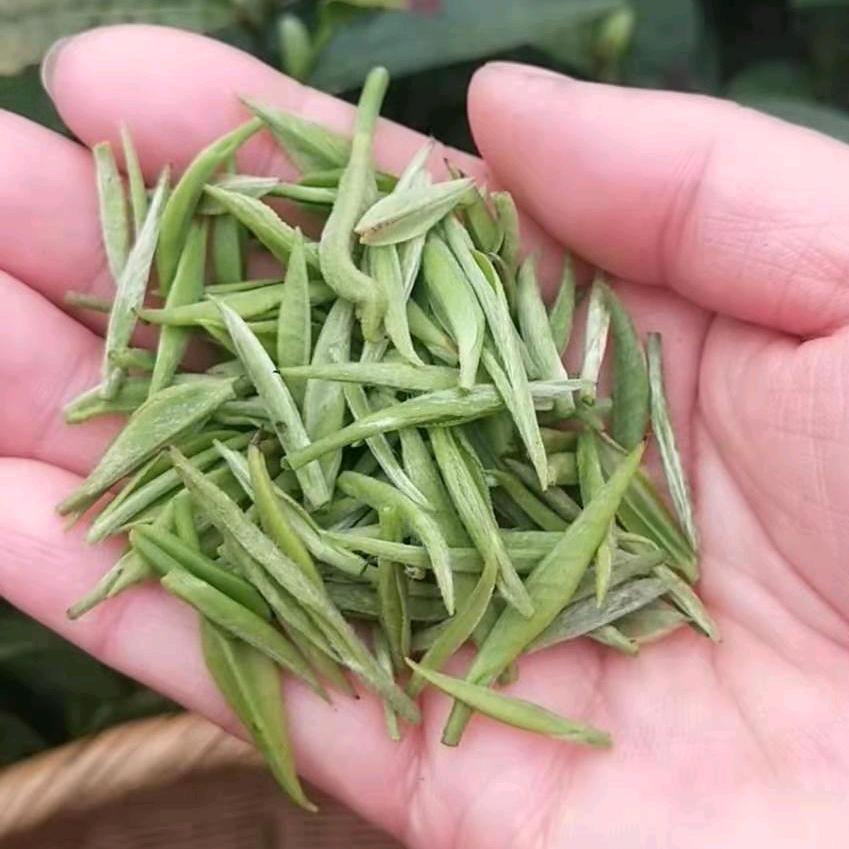 黄有良生态茶叶