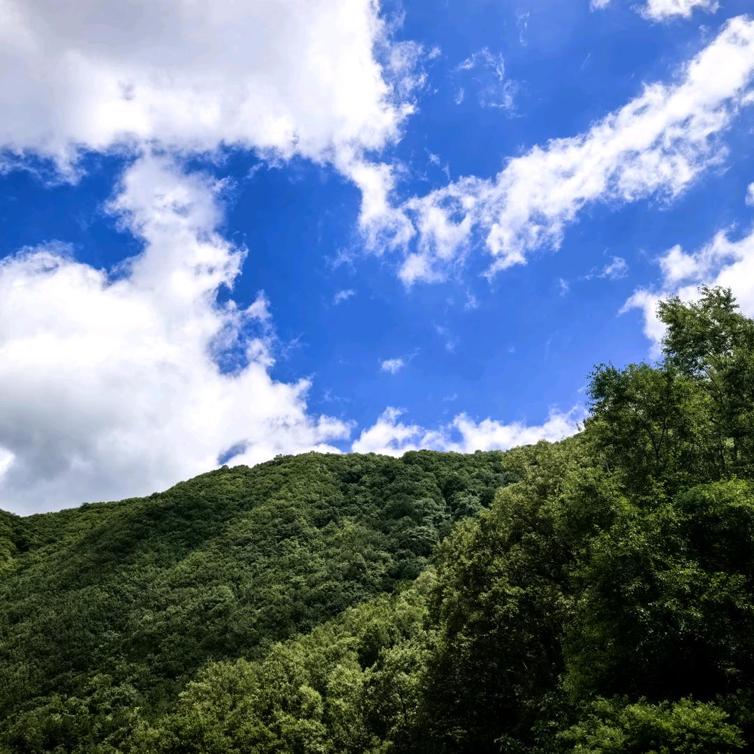 西安韩姐说房