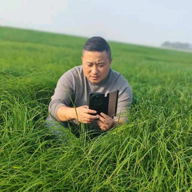 免费清山…流动木材粉碎机出租