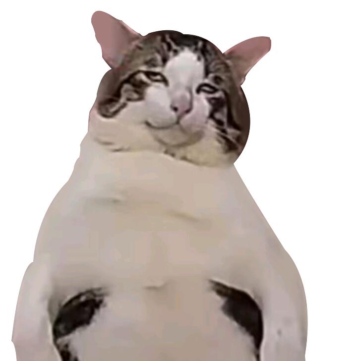 摩尔加纳