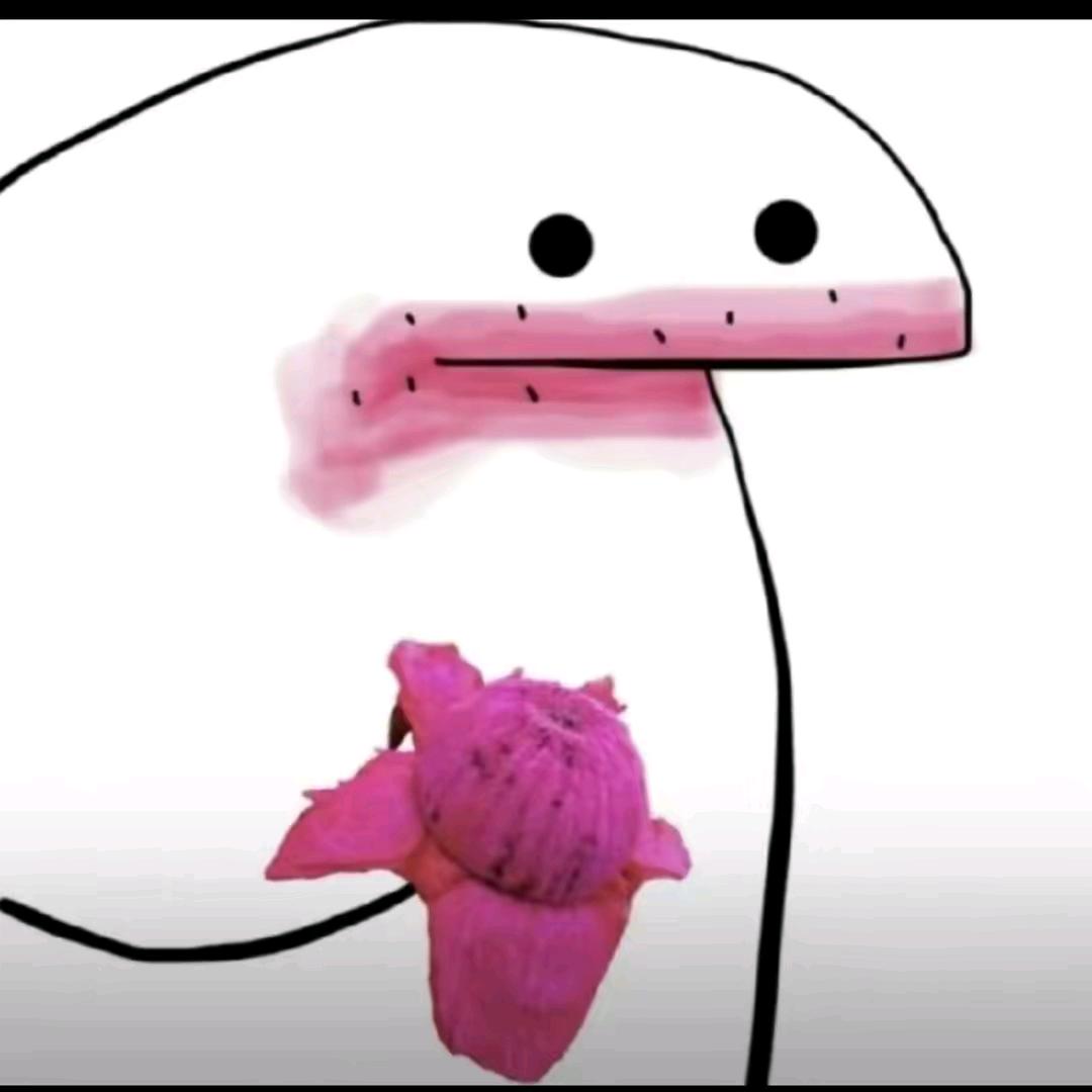 不爱启轰隆果