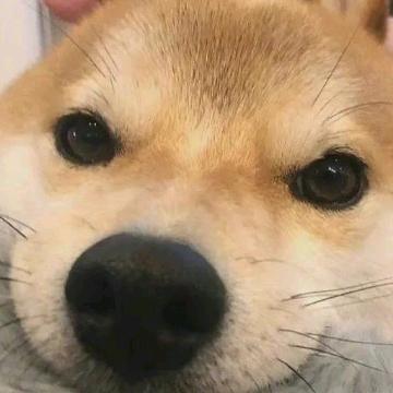 东莞名创精选车