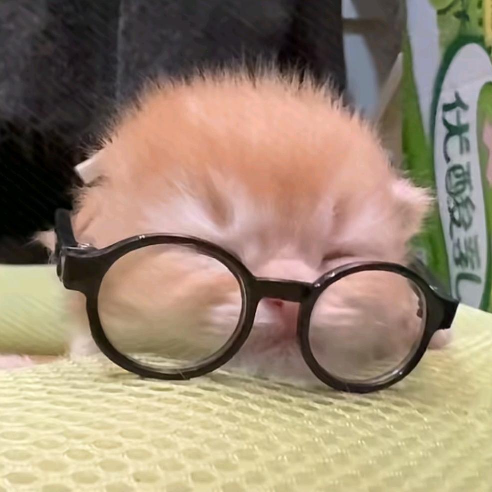 如果说