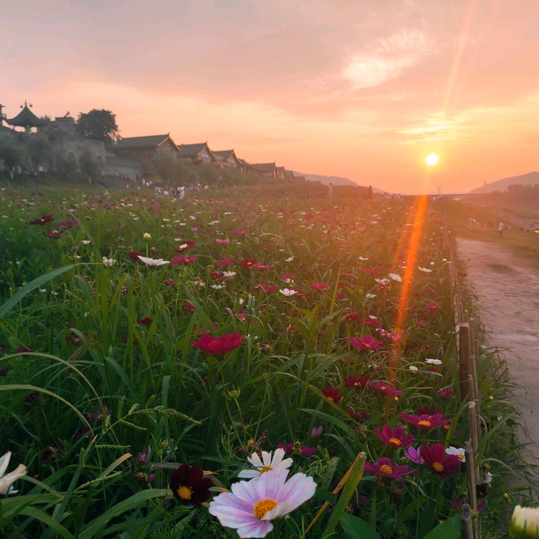 小小一颗桃桃子