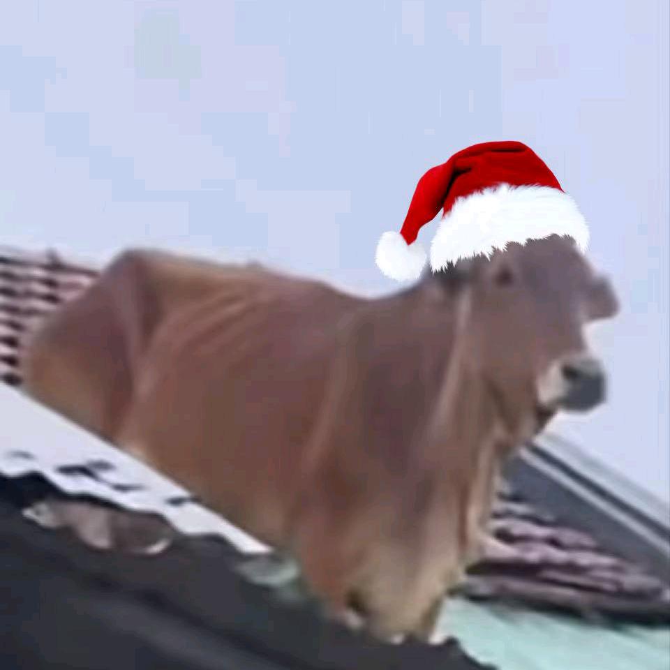 如果忧郁是种天赋