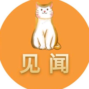 喵喵见闻