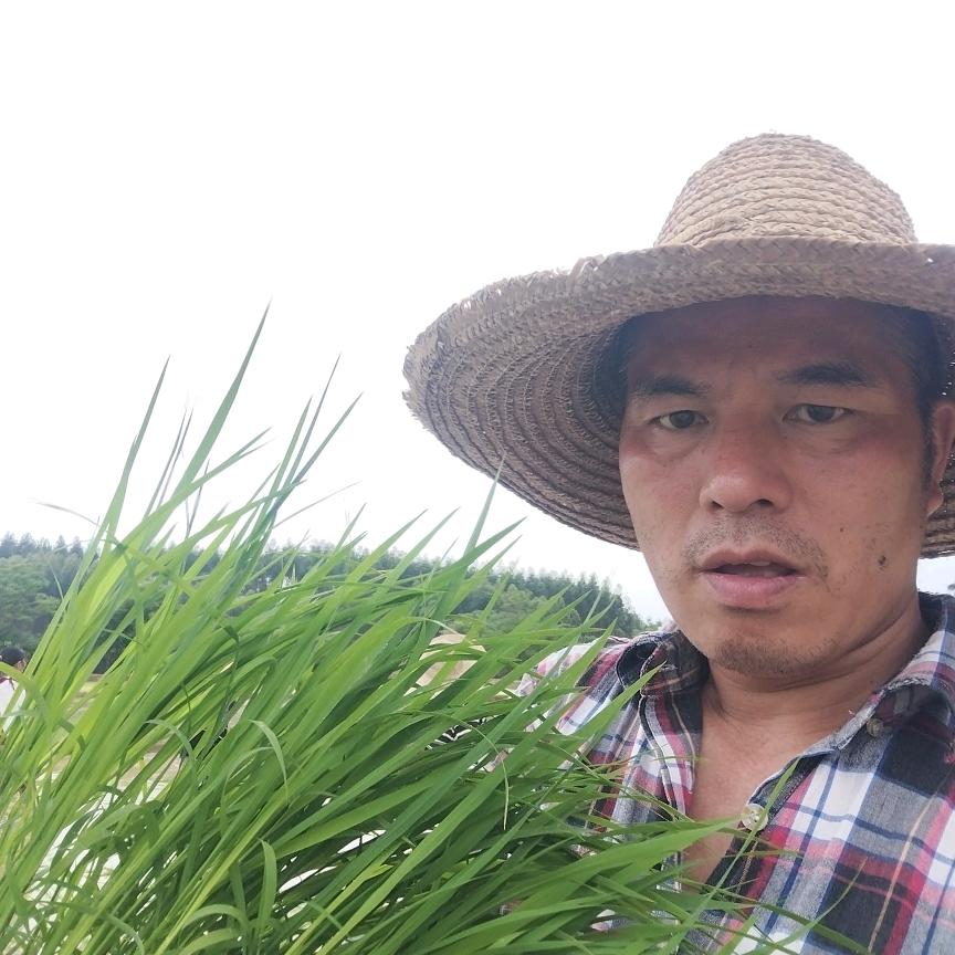 人生如茶（好物）