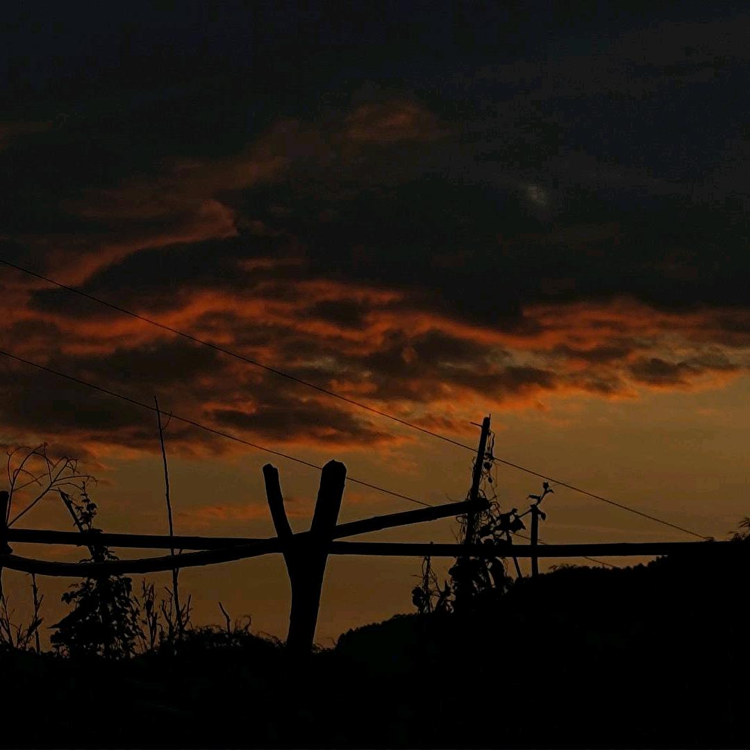 月下做鬼人凄凉