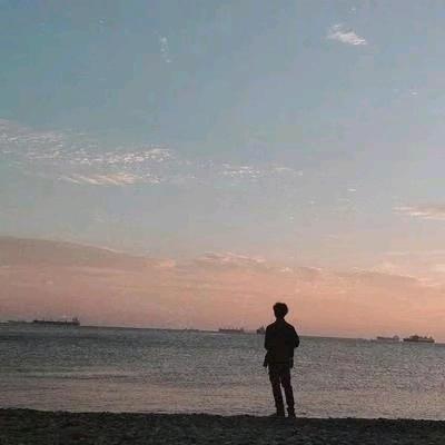 斯坎的纳维亚