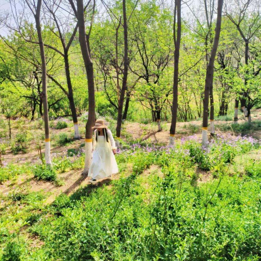 是静静啊´•ﻌ•`