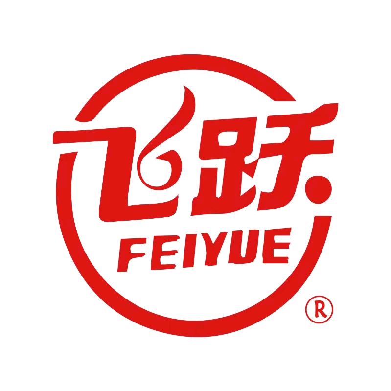 飞跃鞋服旗舰店