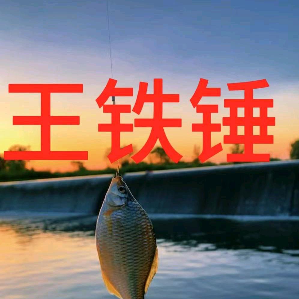 @王铁锤钓鱼