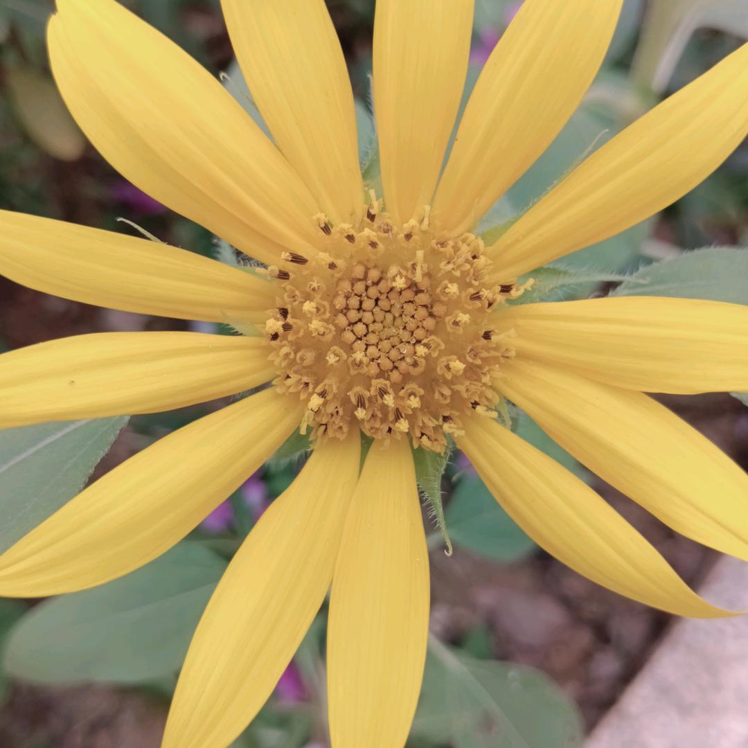 紫萱坊美容养生官方号