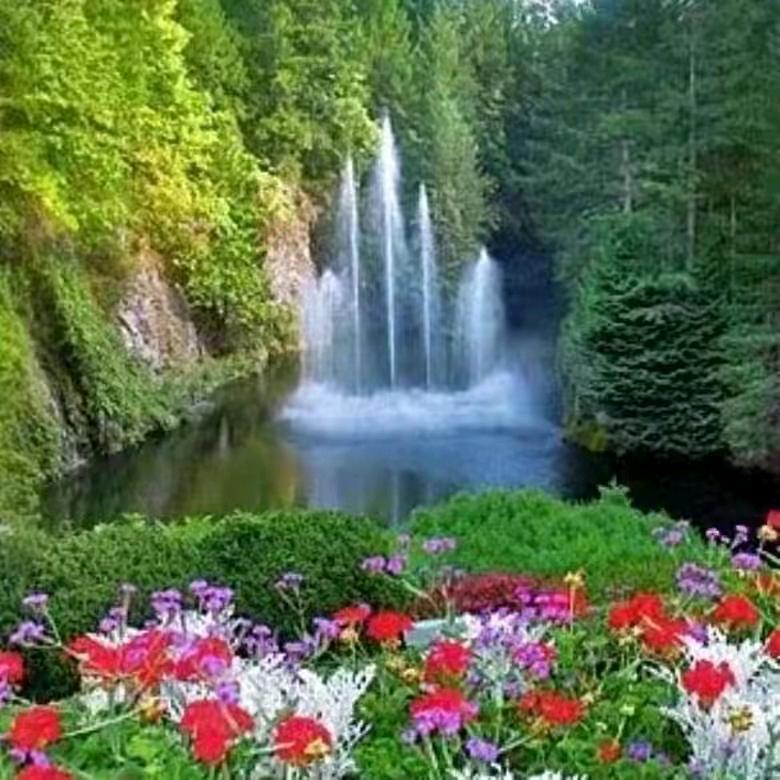 爱你一生