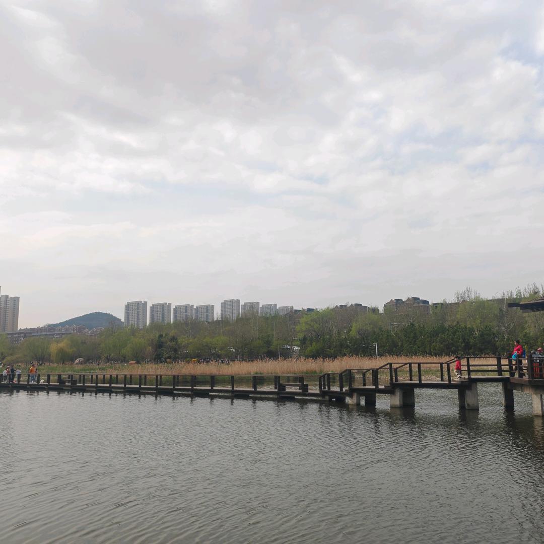 大连旅游小马