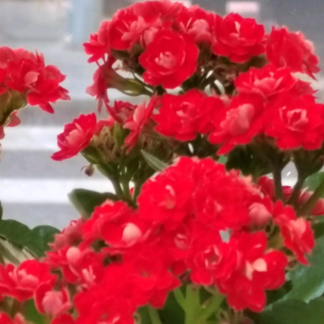 快乐幸福每一天